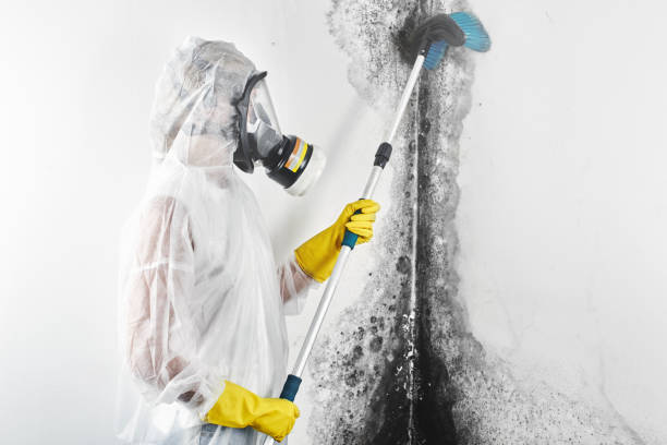 Best Flood restoration services  in Hayfork, CA